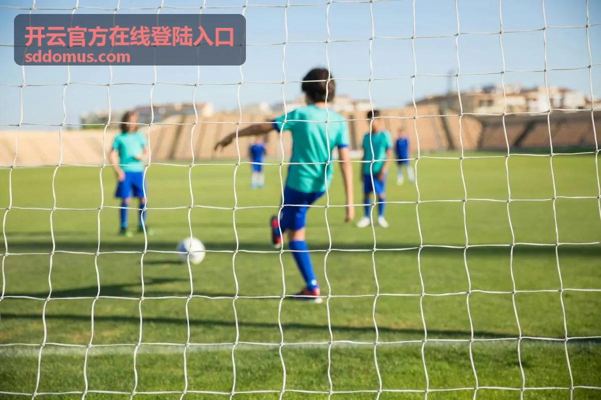 开云官方在线登陆入口登录设备核对列表示意