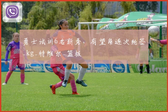 勇士试训6名新秀，有望角逐次轮签_kg_特维尔_篮板