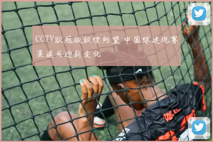 CCTV欧冠版权续约望 中国球迷观赛渠道或迎新变化