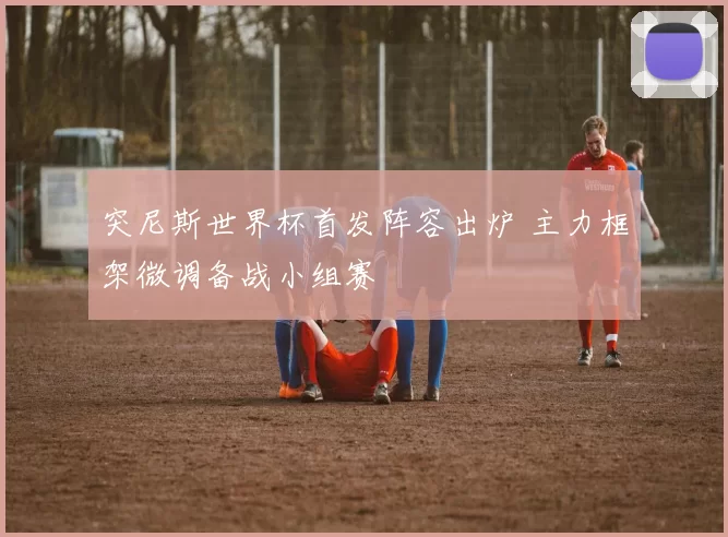 突尼斯世界杯首发阵容出炉 主力框架微调备战小组赛