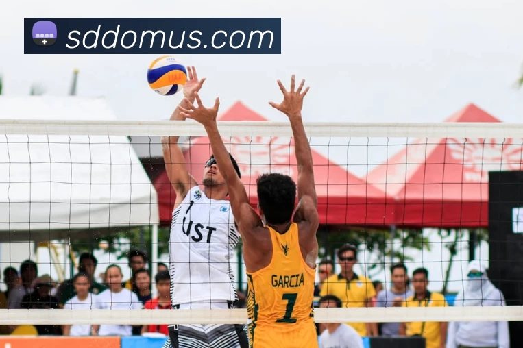 星空体育综合app下载官网服务体系