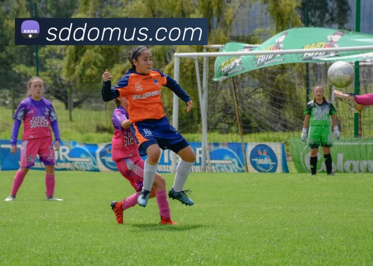 星空体育综合app下载官网APP 体育赛事宣传图